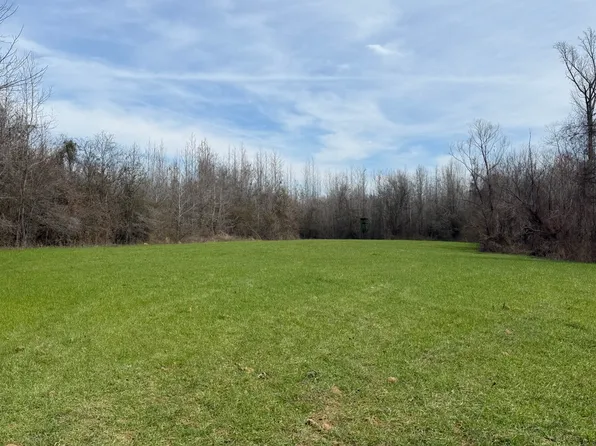 0 Whitfield Rd Tract A, Moundville, AL 35474