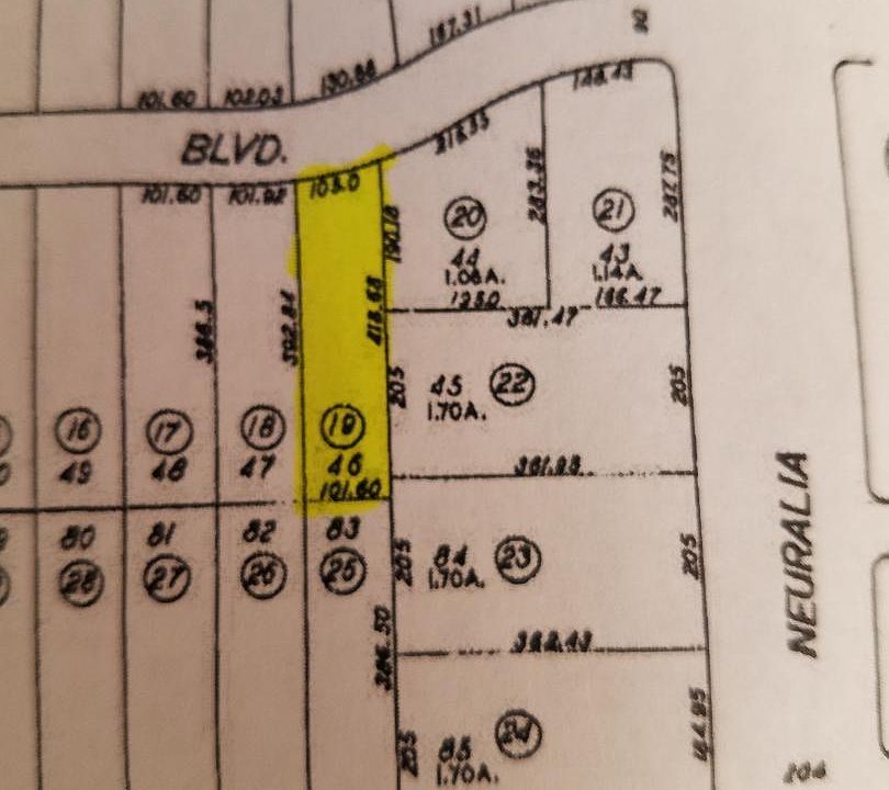 2nd image of Forest Ave