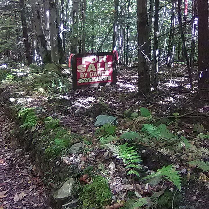 1st image of 37 Acre Woodland