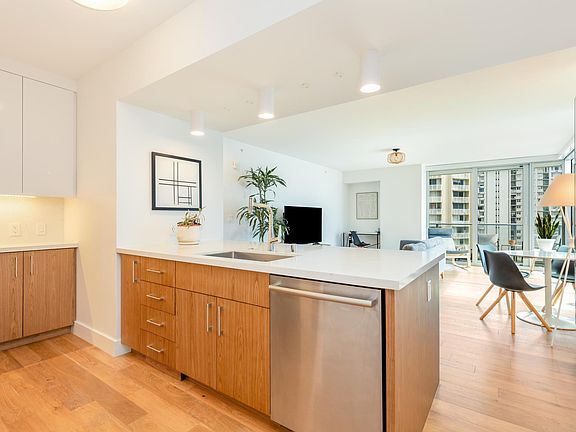 Sunk-In sink and high-end dishwasher. SO many cabinets!