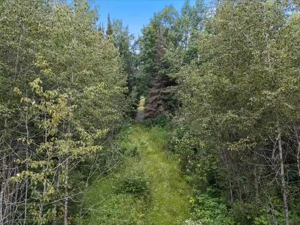 Tbd Pulkinen Rd, Embarrass, MN 55732