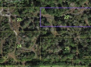 Cord Ave LOT 22, Saint Cloud, FL 34772