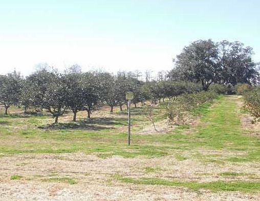 1st image of 13868 Highway 23