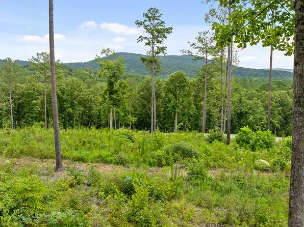 LOT 345 Timber Trl, Talking Rock, GA 30175