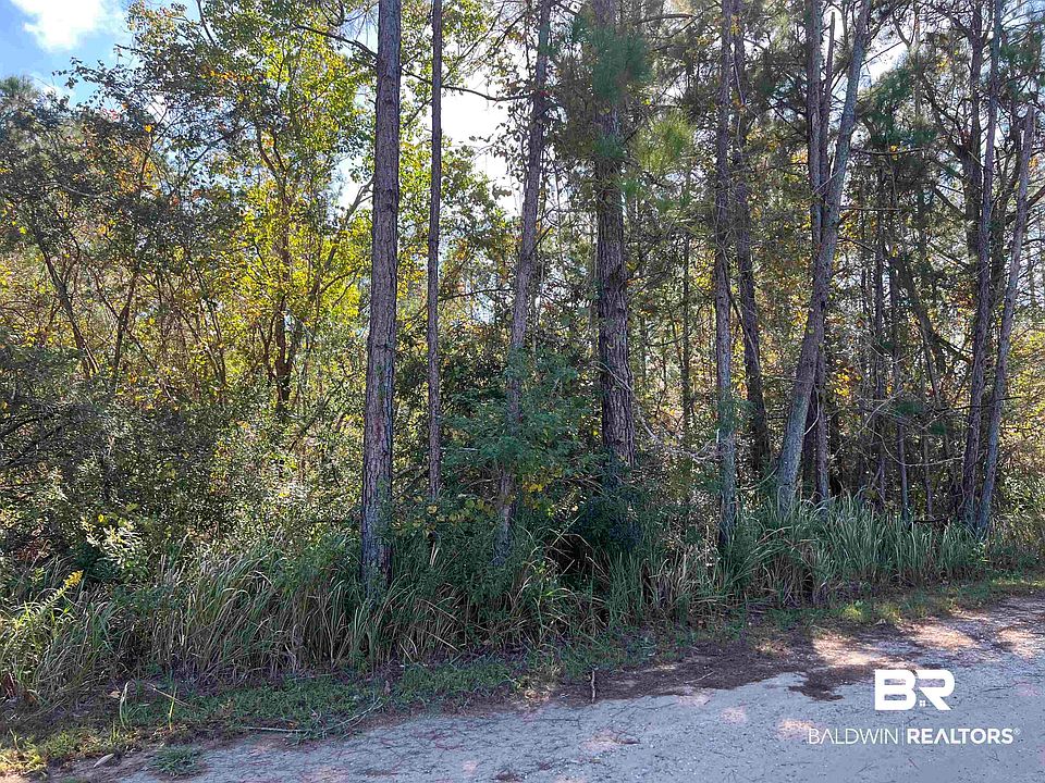2nd image of Robinson Ln