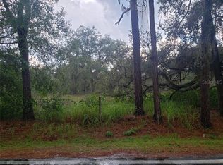 Green Pond Rd, Polk city, FL 33868