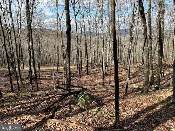 Lost River Gln, Rio, WV 26755