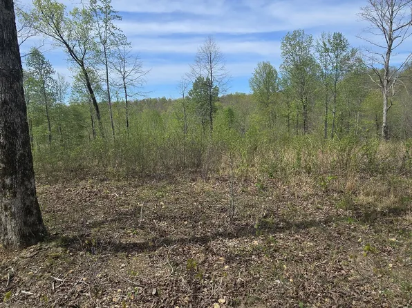 360 James Zimmerman Rd, Hampshire, TN 38461