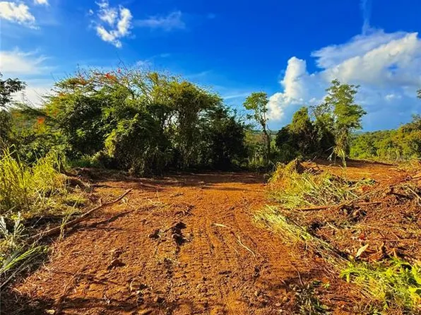 Bo Cacao, Carolina, PR 00987