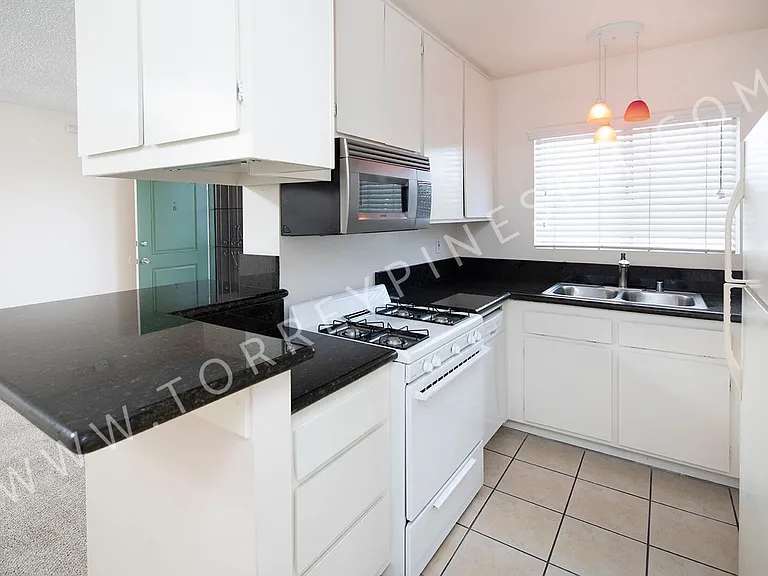 1459 Hornblend Street — Photo 7