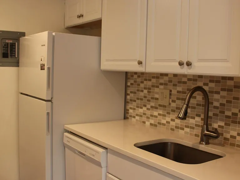 1133 N Randolph St #303 — Photo 8