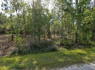 Old Bay City Rd, Wewahitchka, FL 32465