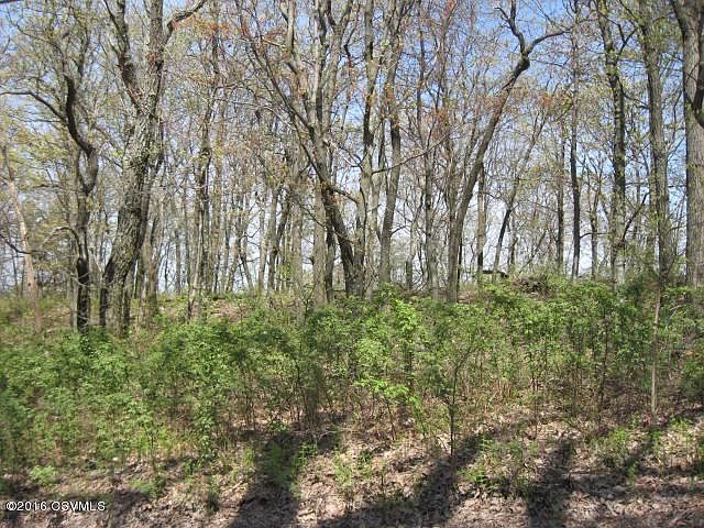 1st image of 113 Evergreen Ln