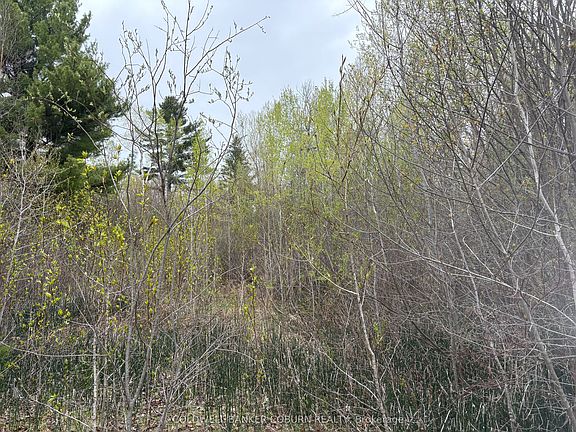 4th image of 2035 Ventnor Rd