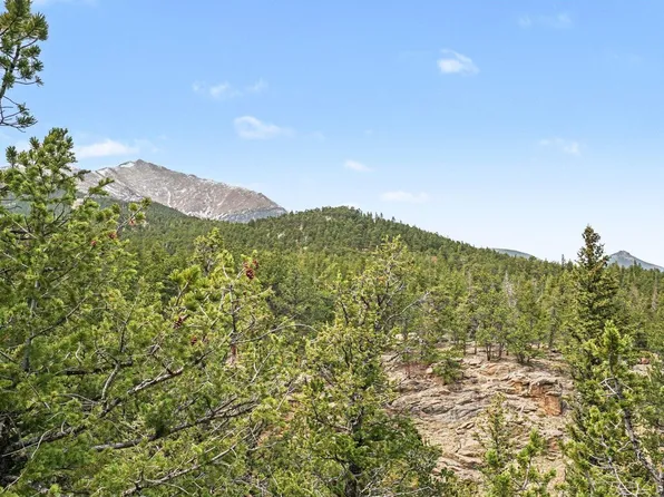 12190 Highway 7, Allenspark, CO 80510