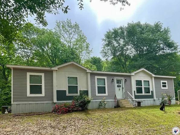 278 County Road 2227, Douglassville, TX 75560