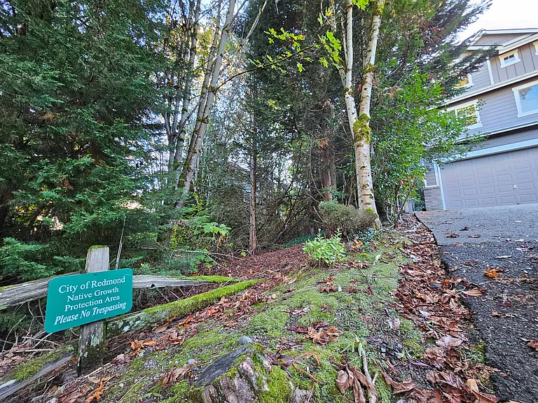 14219 NE 86th Pl — Photo 29