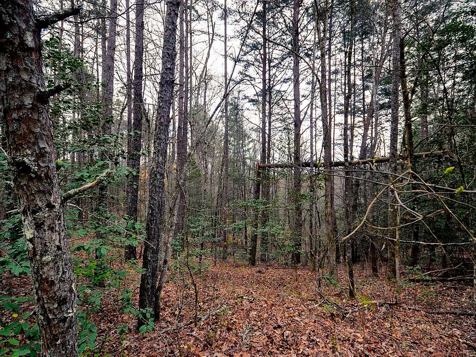 2nd image of Old Johnson Rd