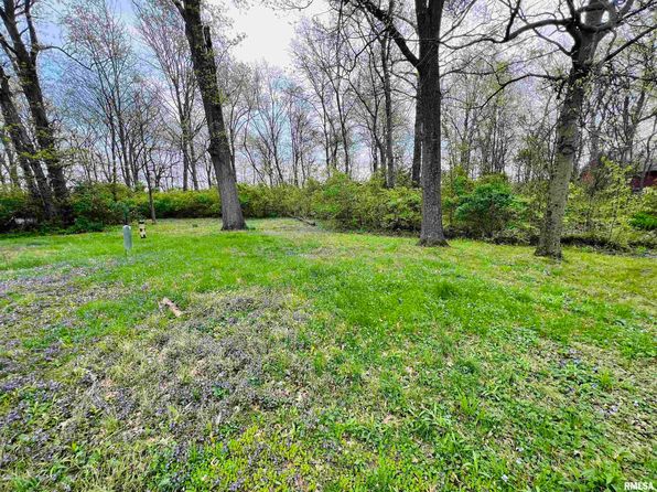 13162 N Dayton Dr, Woodlawn, IL 62898