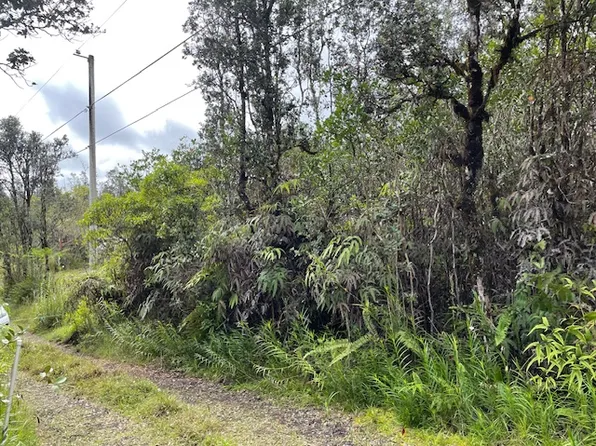 16-1058 Uau Rd Lot 3722, Mountain View, HI 96771