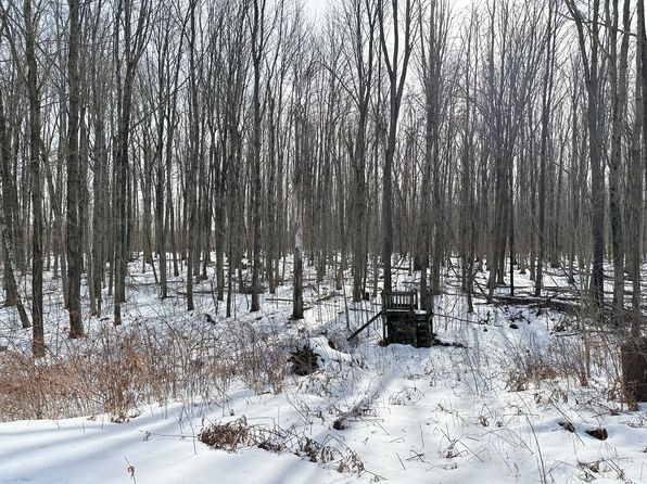 4630 Silvernail Rd, Caro, MI 48723