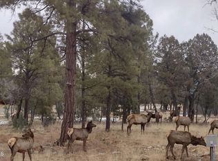 2513 Pine Crest Dr #110, Happy Jack, AZ 86024