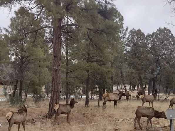 2513 PINE CREST Drive #110, Happy Jack, AZ 86024