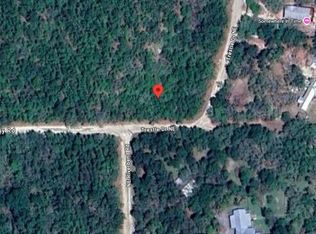 NE Trestle Dr LOT 15, Mayo, FL 32066