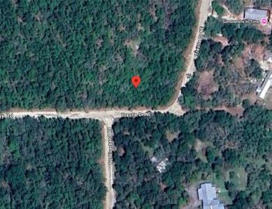 NE TRESTLE DR LOT 15, Mayo, FL, 32066