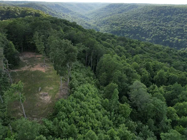 3 Blackberry Rd, Beersheba Springs, TN 37305