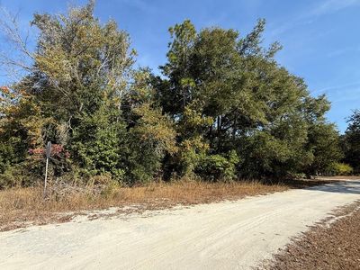 000 NW 823rd St, Old Town, FL, 32680