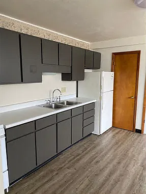 1 bed, 450 sqft, $625 — Photo 3
