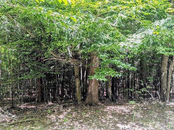 3rd image of Opal Ridge Dr #68