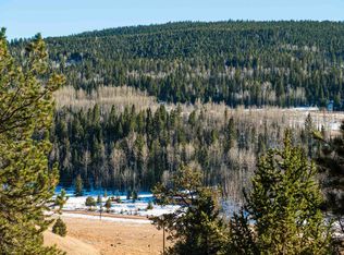 2055 Yorktown Rd, Cripple Creek, CO 80813