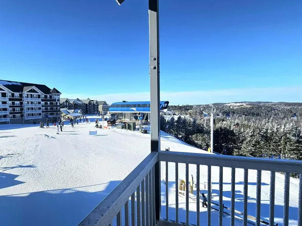 75 Mountain Lodge Ln, Slatyfork, WV 26291