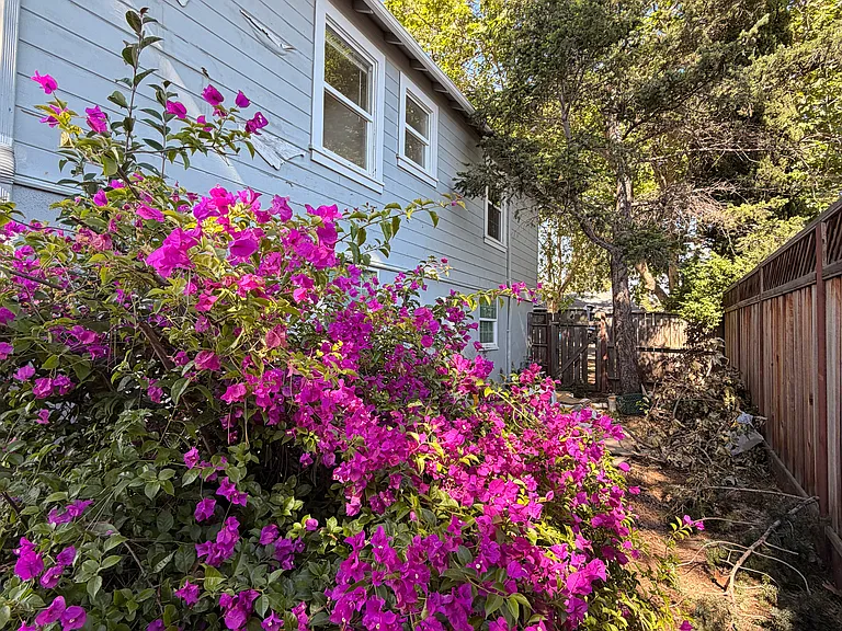 663 Pierce St — Photo 43