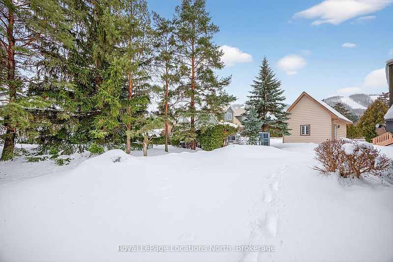 The Blue Mountains House for rent - 4 Bedrooms — photo 43