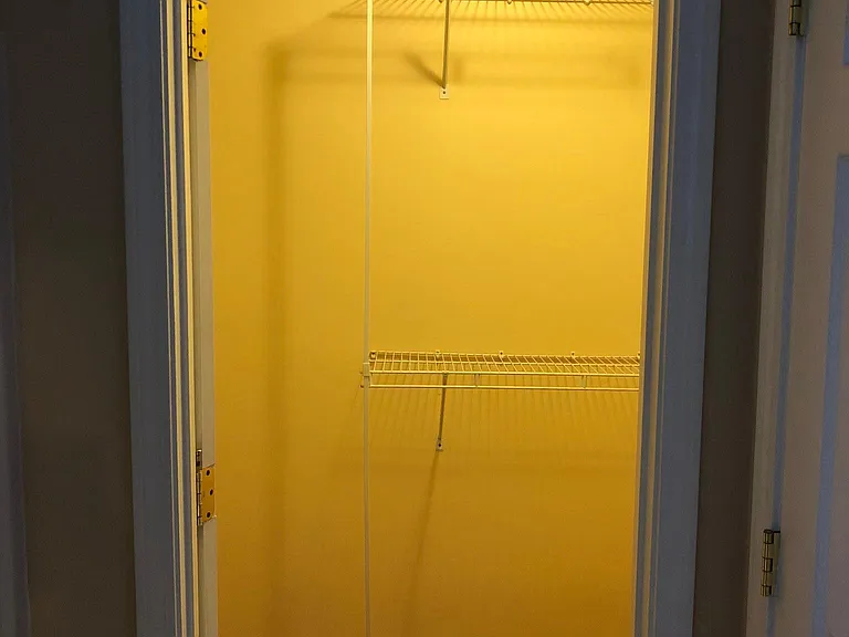 Walk-in Closet Attached to Master Suite