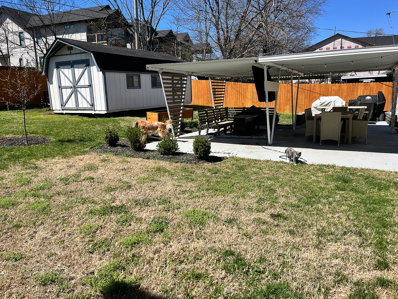3 bed, 1300 sqft, $3,600 — Photo 3