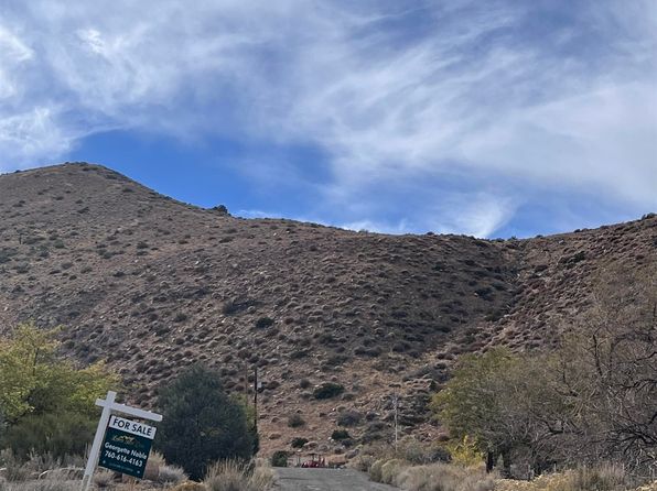 10 Mill Creek Dr, Coleville, CA 96107