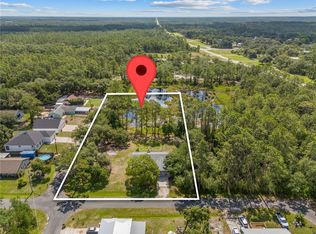 1189 Rib Ave, Saint Cloud, FL 34771