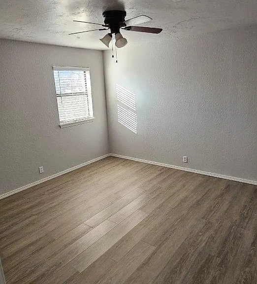2308 Shady Tree Ln — Photo 30
