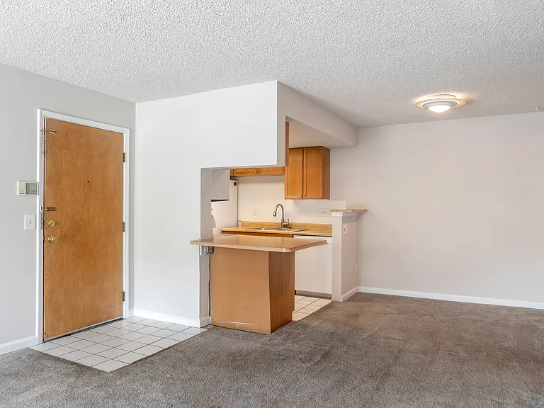 8555 Fairmount Dr #B201 — Photo 4