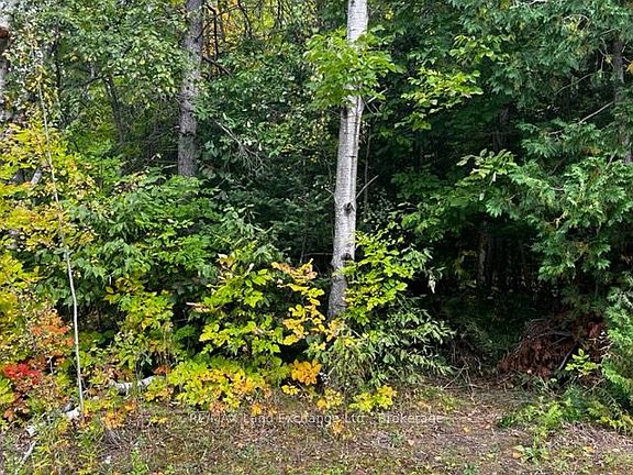 2nd image of 7 Shore Rd