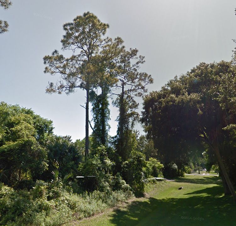 50' easement, north of lot