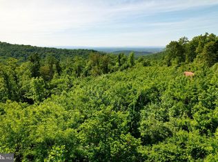 1 Jenkins Ln, Bluemont, VA 20135