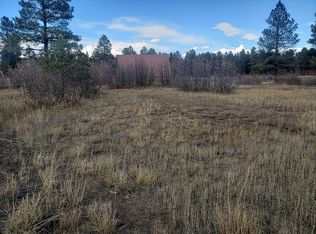 600 Eagle Dr, Pagosa Springs, CO 81147