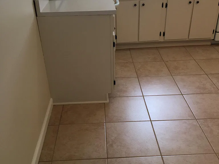 706 Meadow Woods Ln — Photo 21