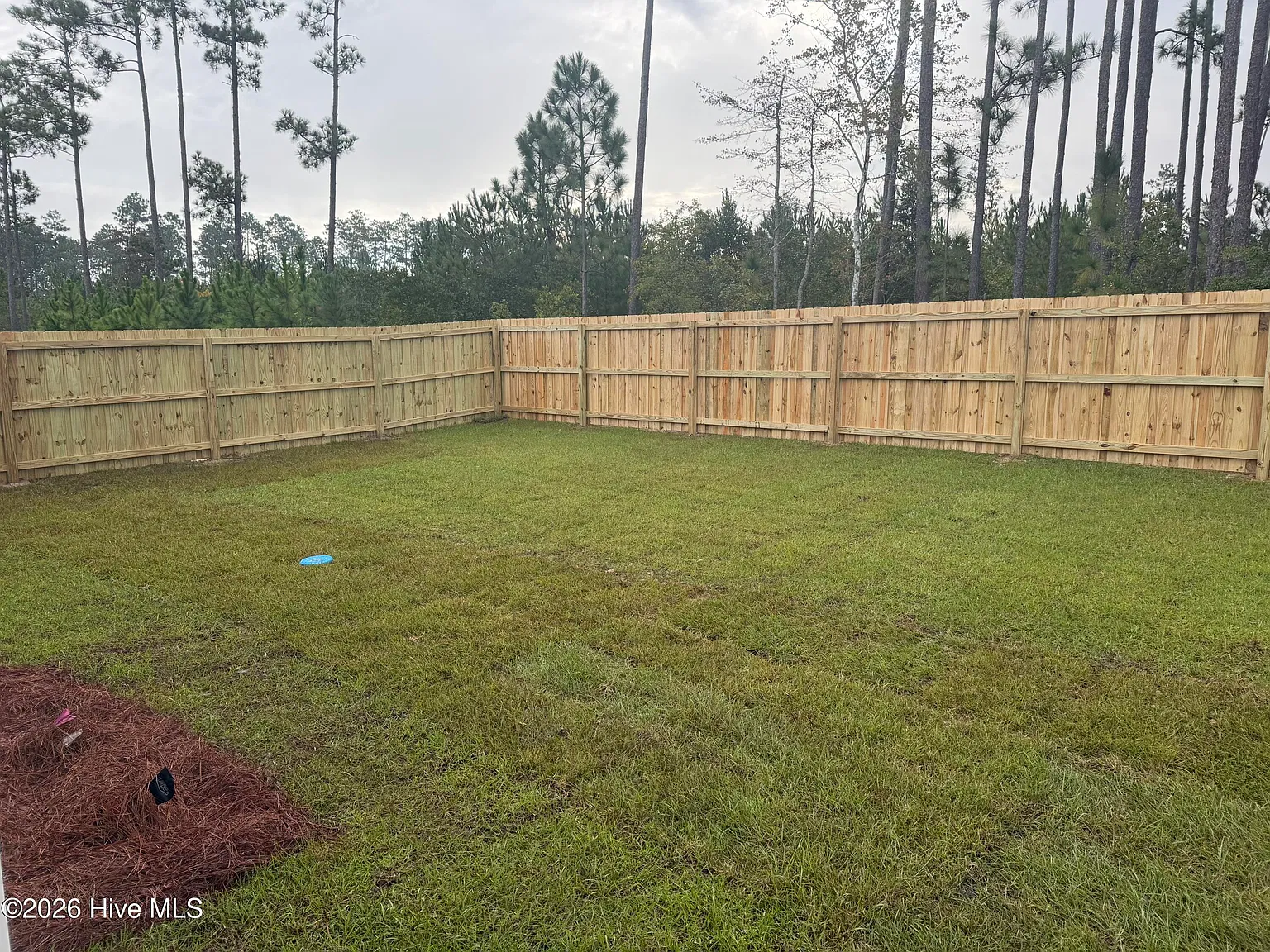 4 bed, 2.0 bath, 1775 sqft, $2,200 — Photo 4