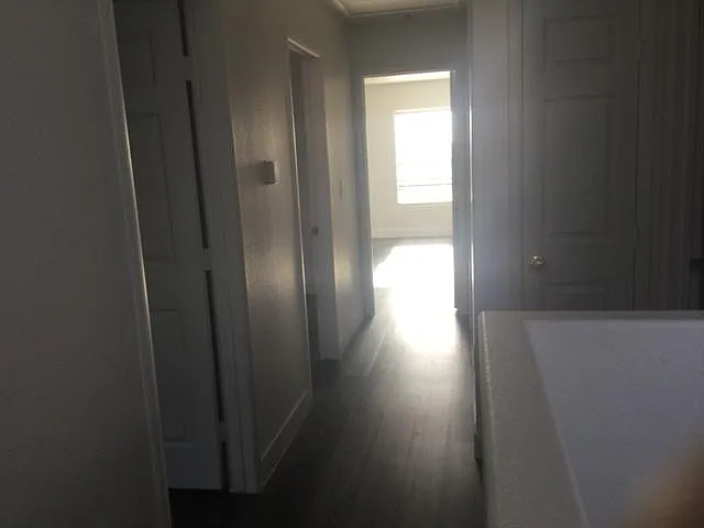 10280 Purple Primrose Dr — Photo 16